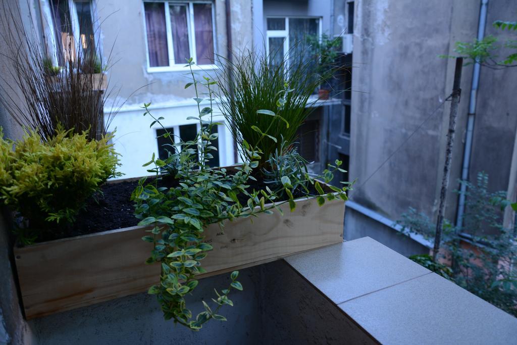Peter Pan Hostel Sofia Ngoại thất bức ảnh