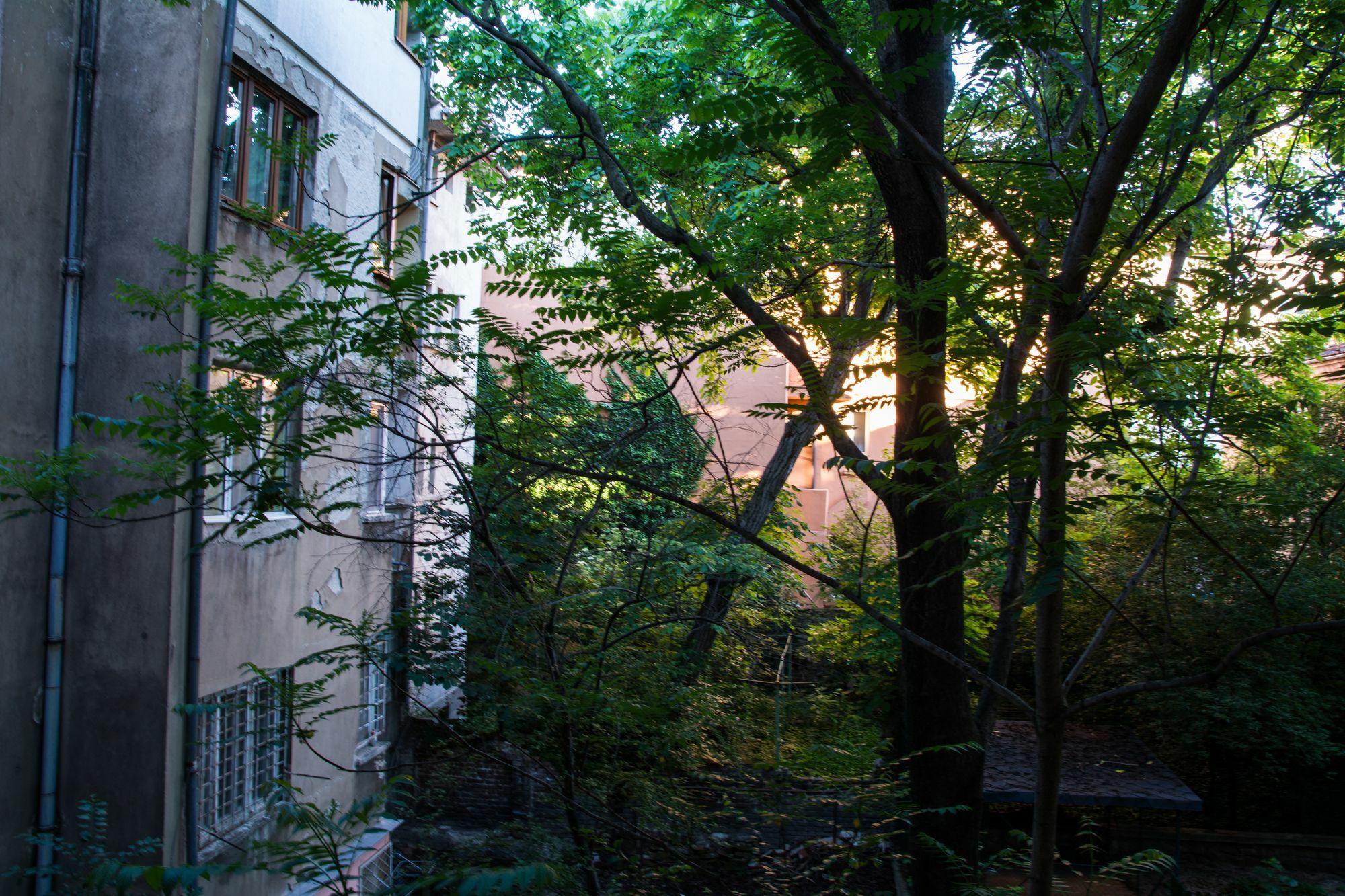 Peter Pan Hostel Sofia Ngoại thất bức ảnh